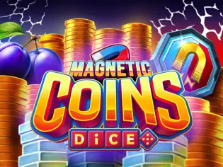 Magnetic Coins Dice screenshot